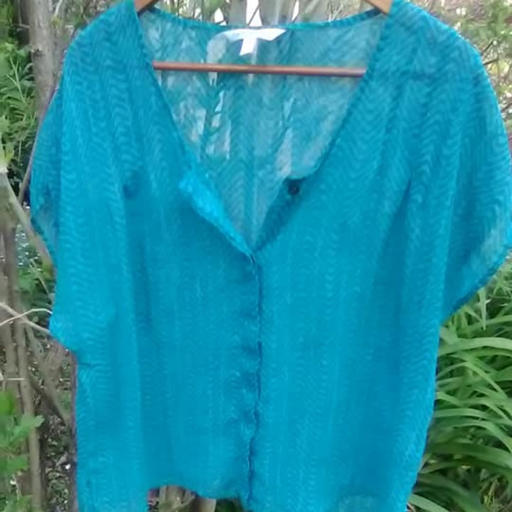 NWOT -Sheer Short Sleeve/ Button up (Turquoise)
